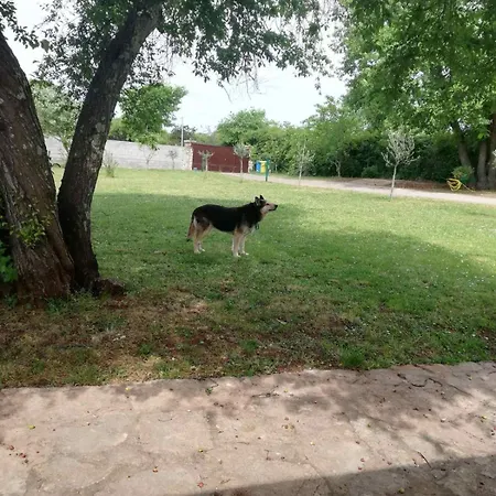 Kuca Za Odmor Nar *